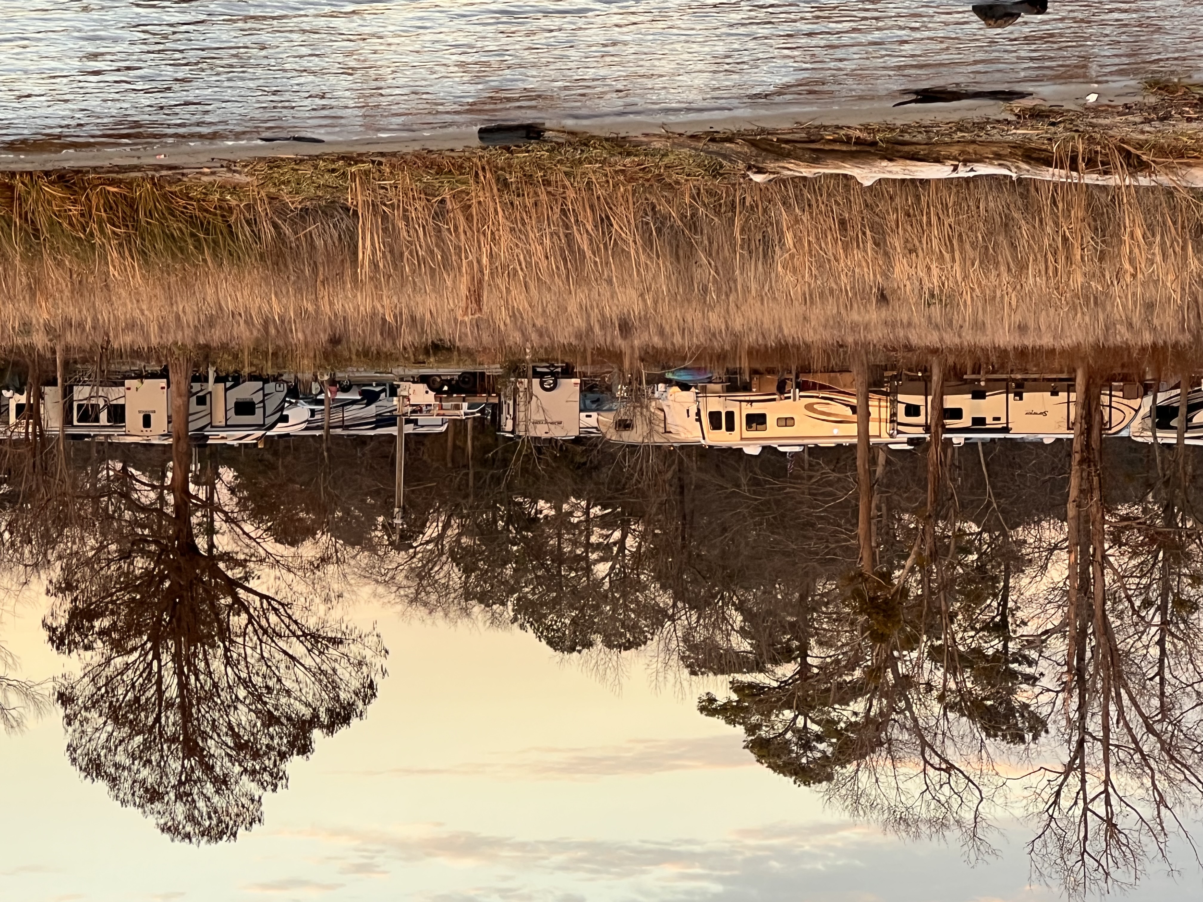 ./2023/01 - New Bern/IMG_6341.JPG